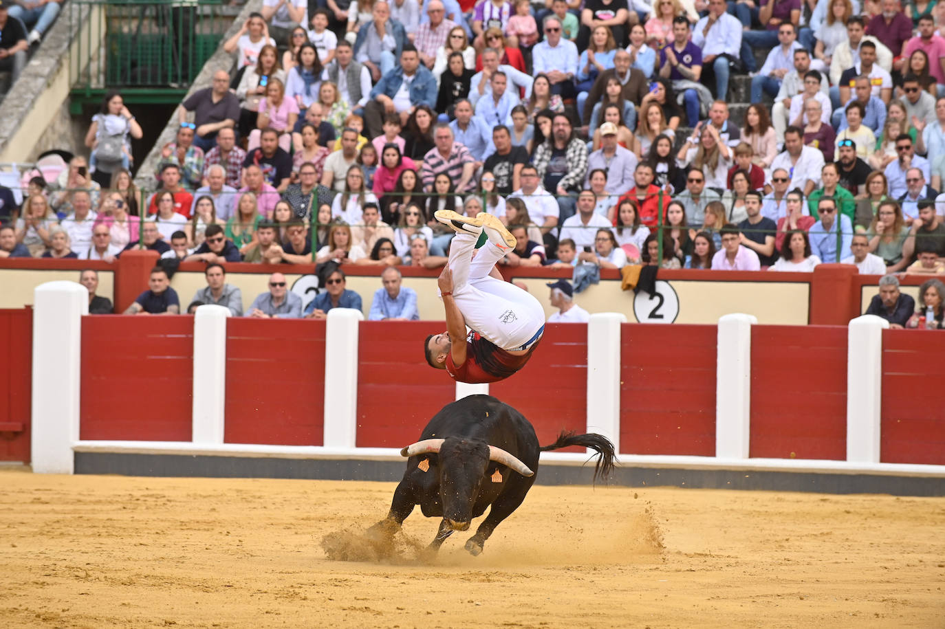 La mejores fotografías del Concurso cortes quiebros y saltos de Valladolid (II)