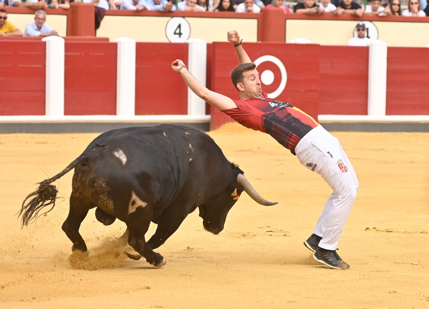 La mejores fotografías del Concurso cortes quiebros y saltos de Valladolid (II)