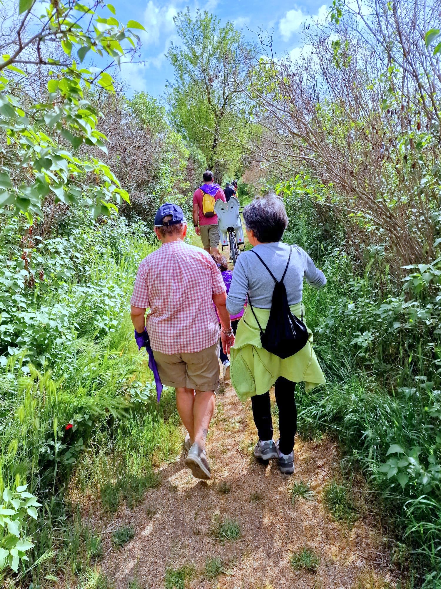 Pasear entre lilas en Villaviudas
