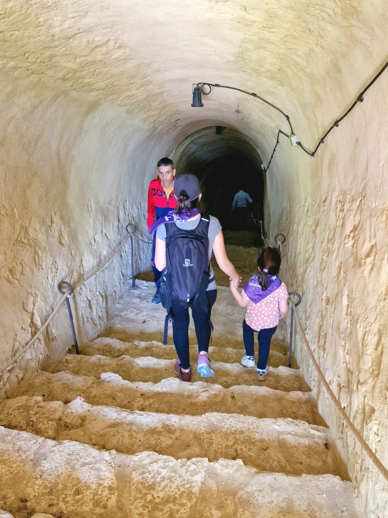 Pasear entre lilas en Villaviudas