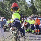 Siete cuadrillas con treinta trabajadores se incorporan al programa provincial forestal