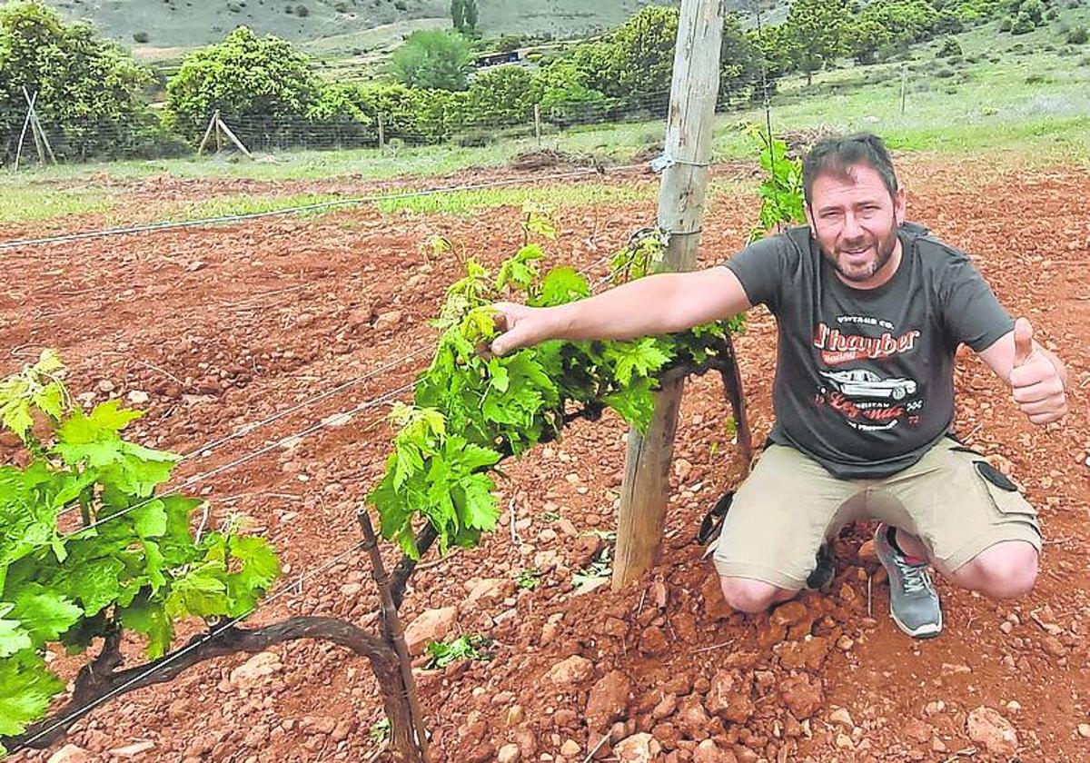 Miguel Otero, junto a una de sus viñas.