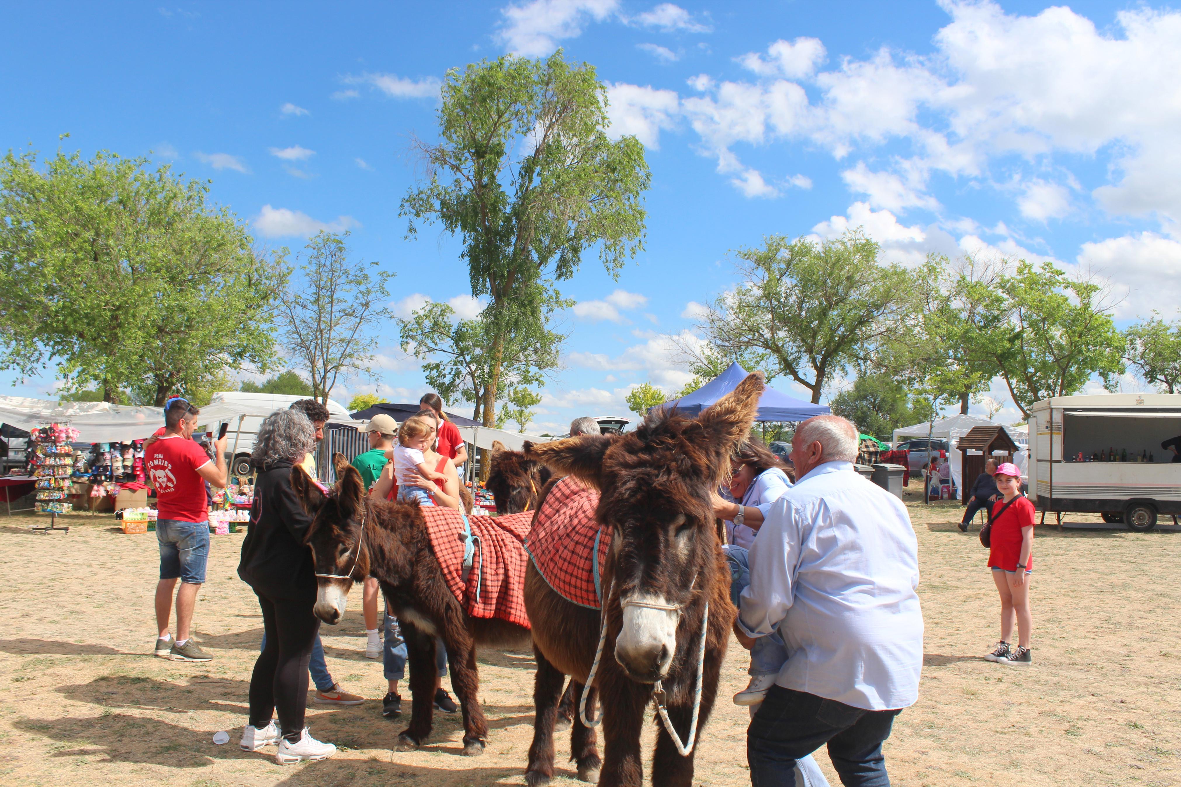 Baltanás celebra la fiesta de San Gregorio