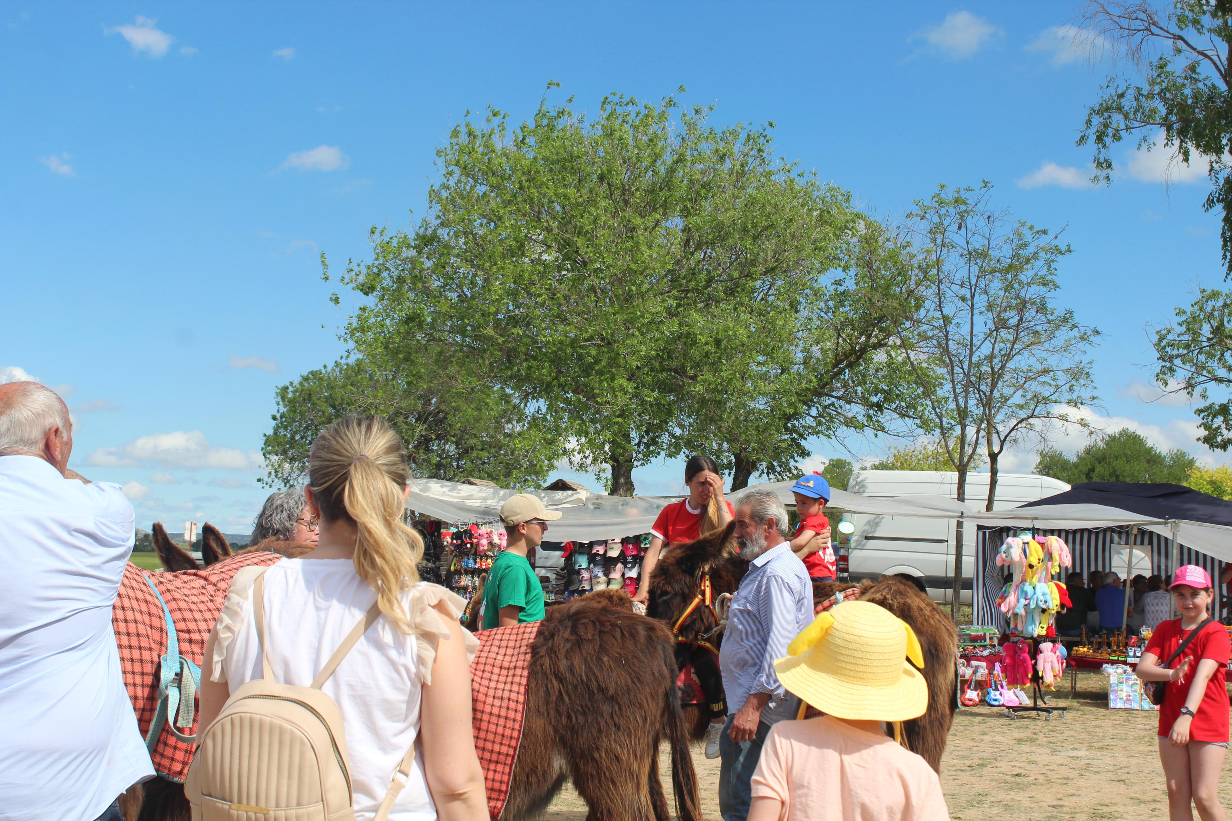 Baltanás celebra la fiesta de San Gregorio