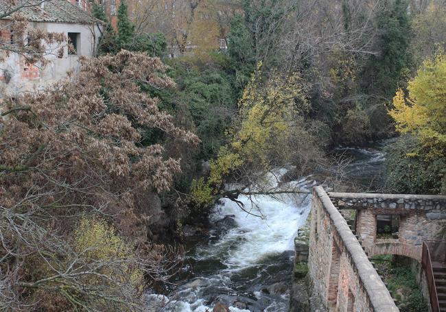 El río Eresma, a su paso por San Lorenzo.