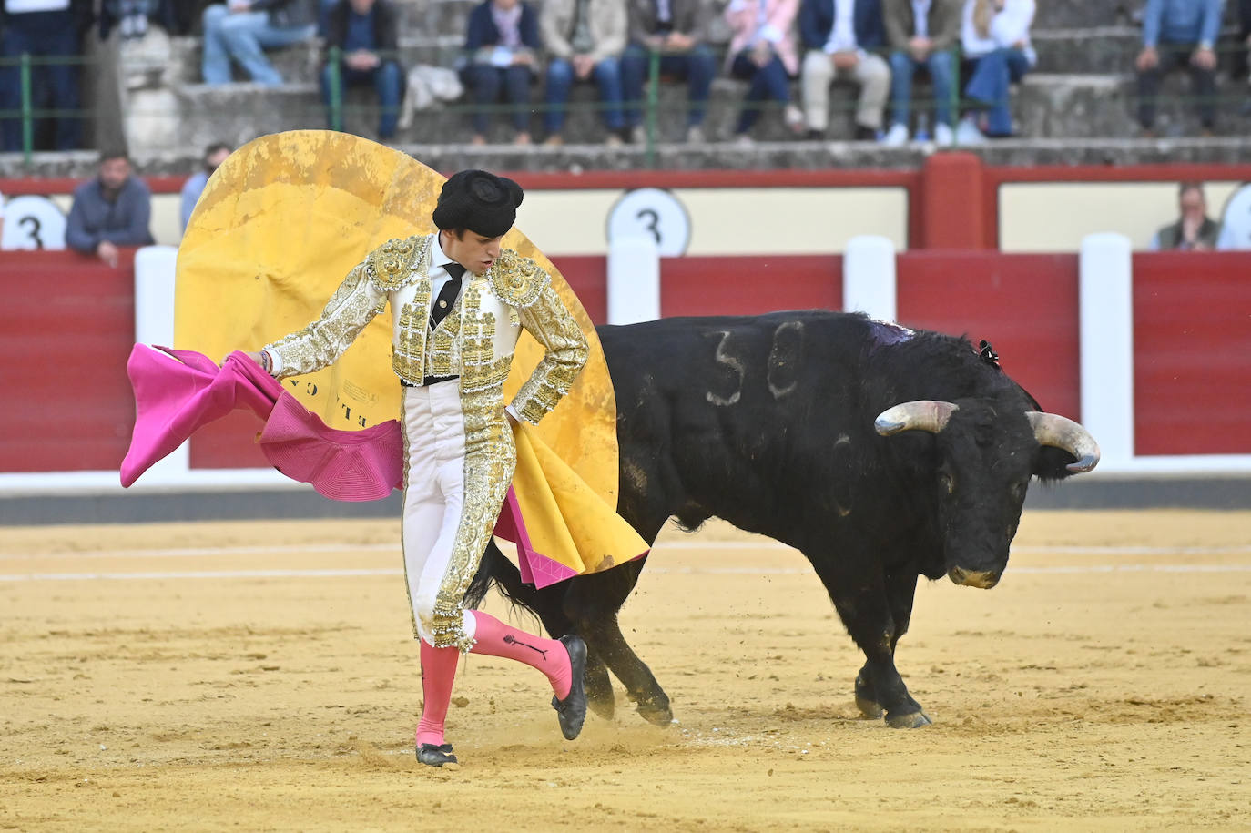 La novillada de San Pedro Regalado, en imágenes