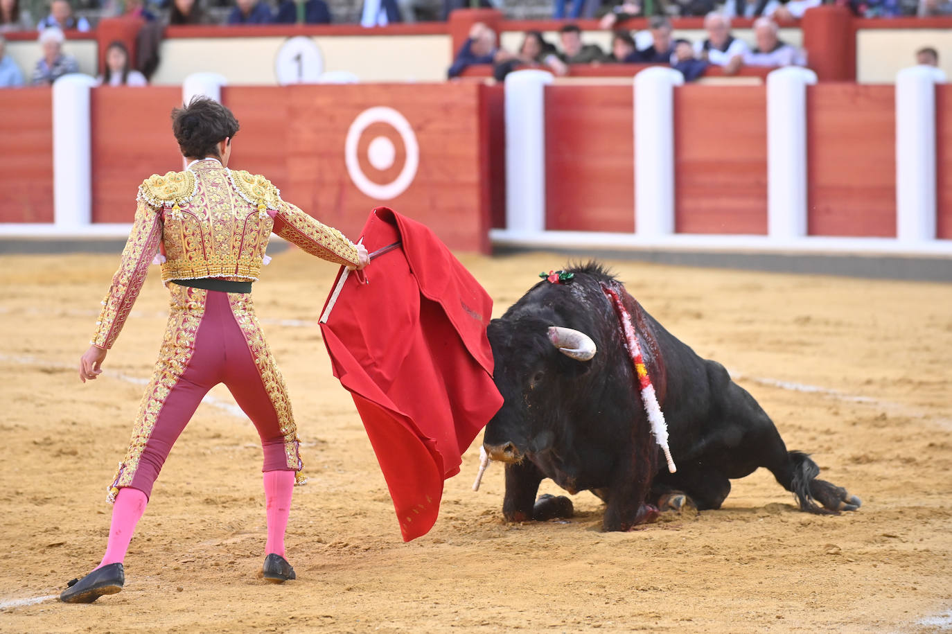 La novillada de San Pedro Regalado, en imágenes