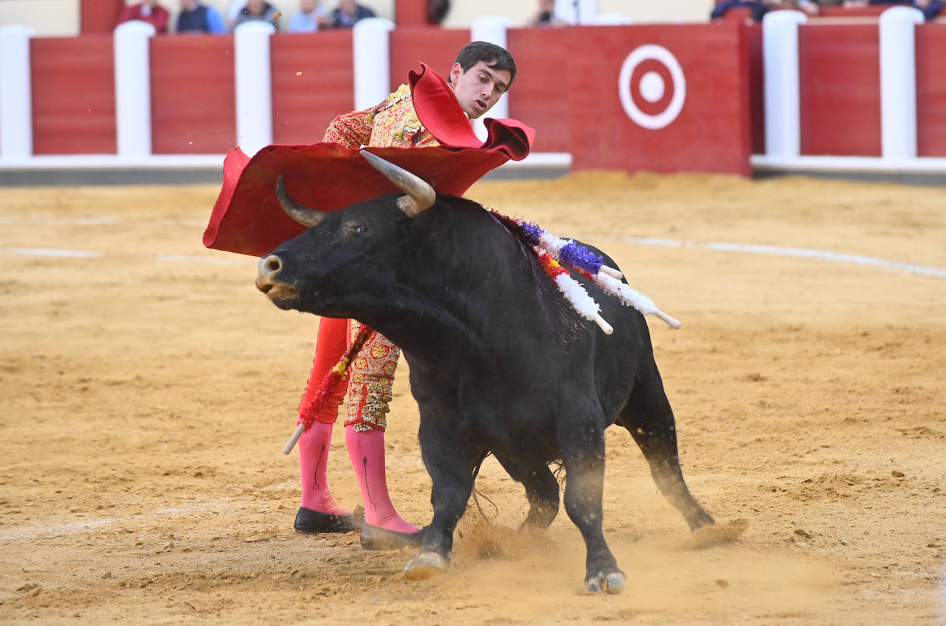 La novillada de San Pedro Regalado, en imágenes