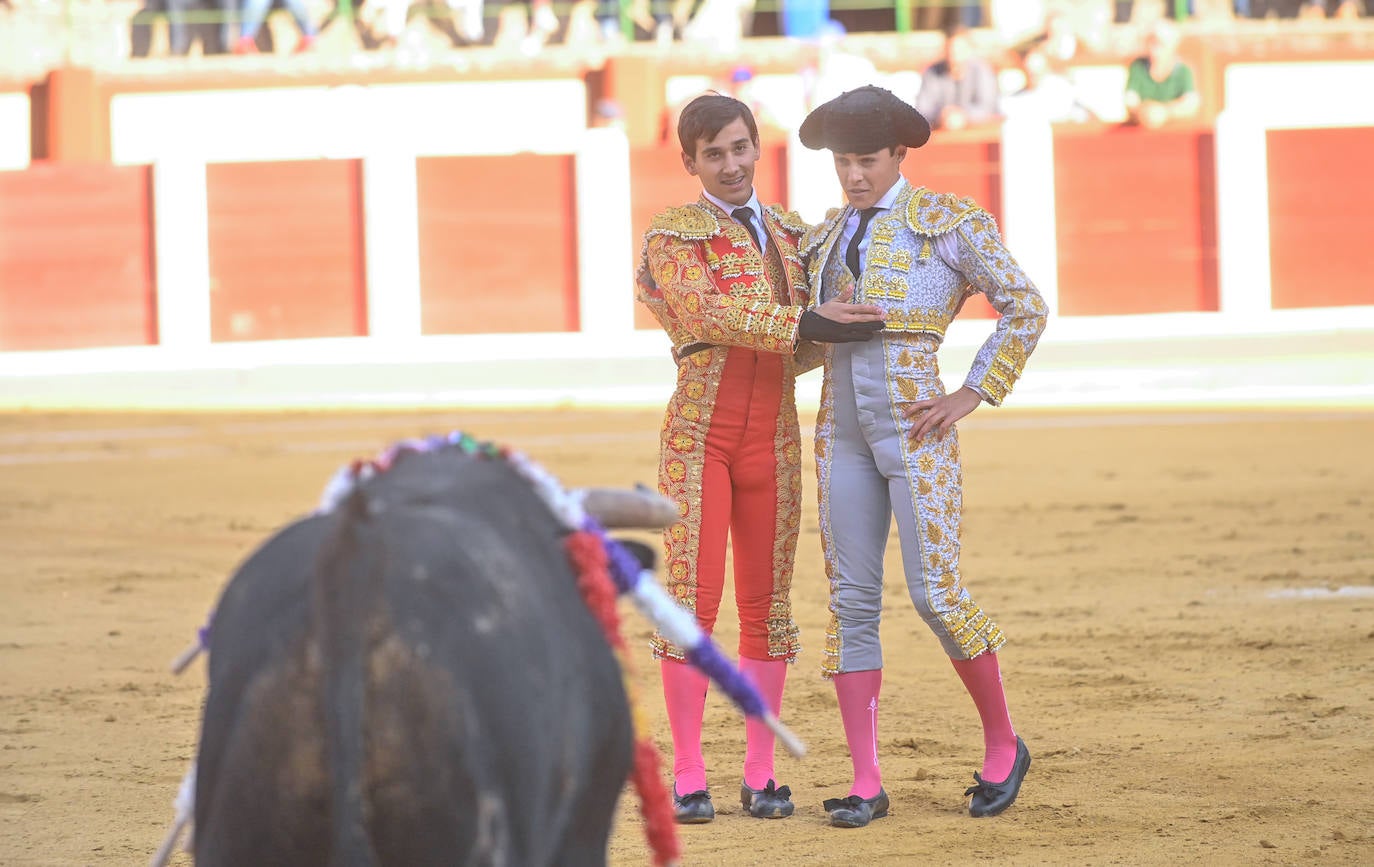 La novillada de San Pedro Regalado, en imágenes