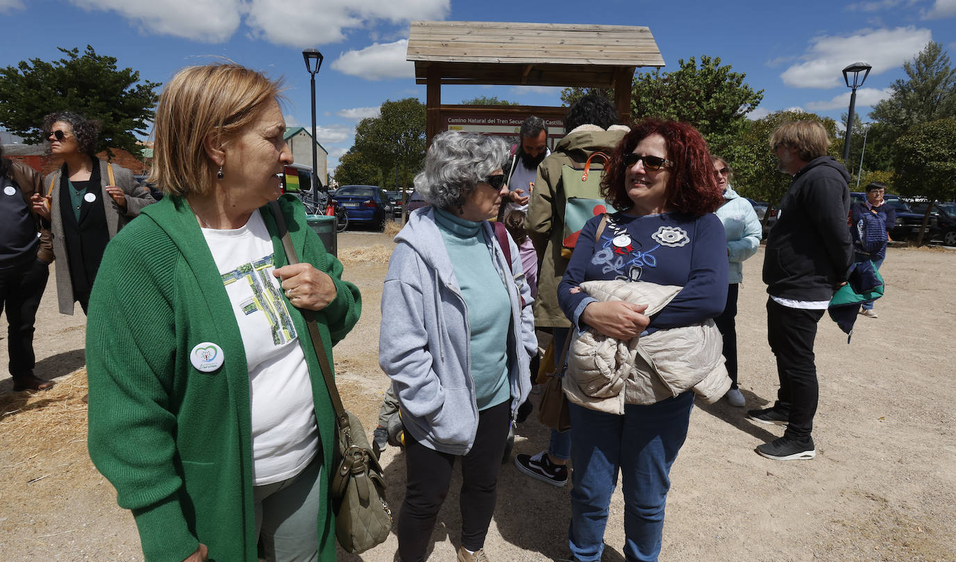 Un grito para preservar la Dársena de Palencia