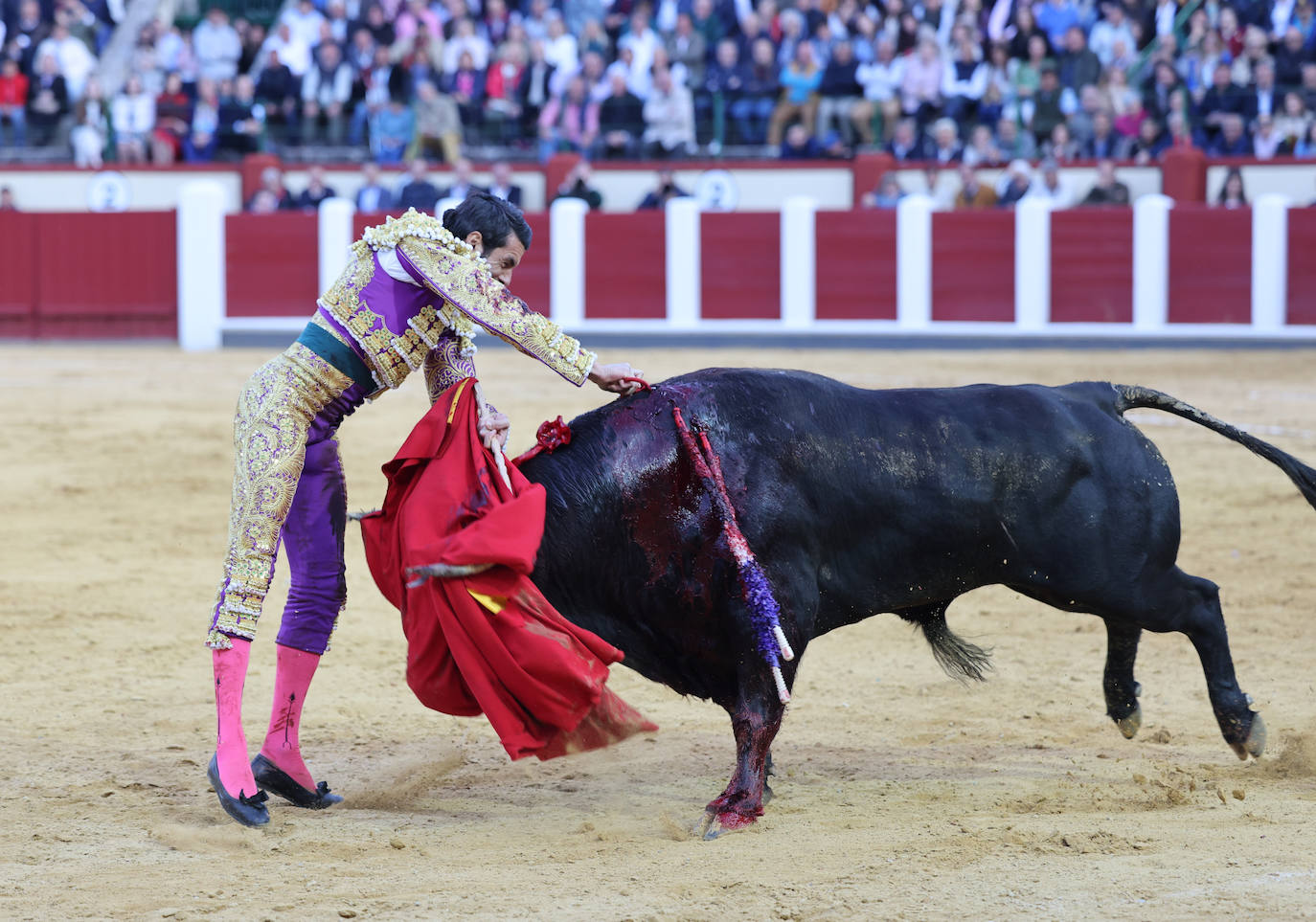 La corrida de toros de San Pedro Regalado, en imágenes