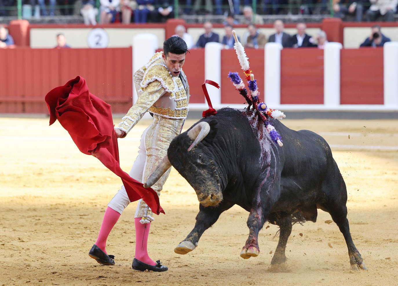 La corrida de toros de San Pedro Regalado, en imágenes