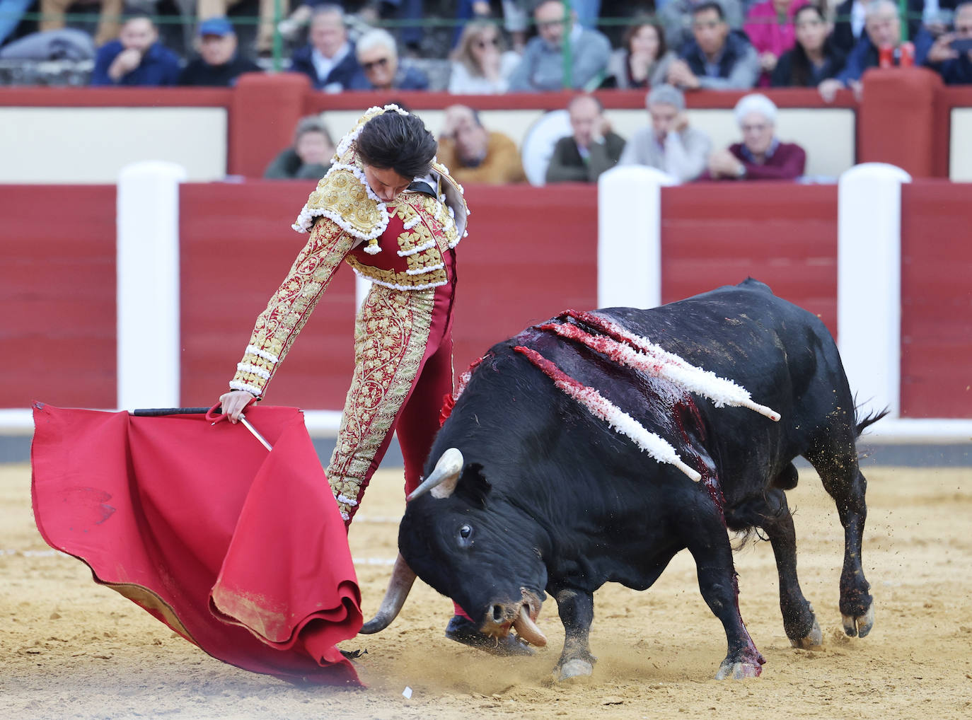 La corrida de toros de San Pedro Regalado, en imágenes