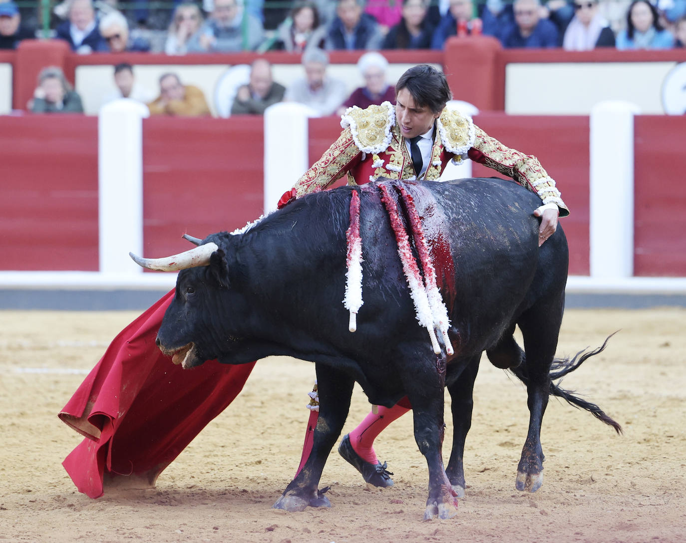 La corrida de toros de San Pedro Regalado, en imágenes