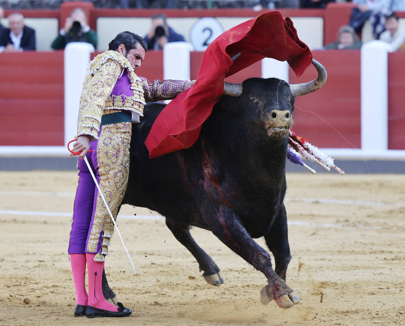 La corrida de toros de San Pedro Regalado, en imágenes