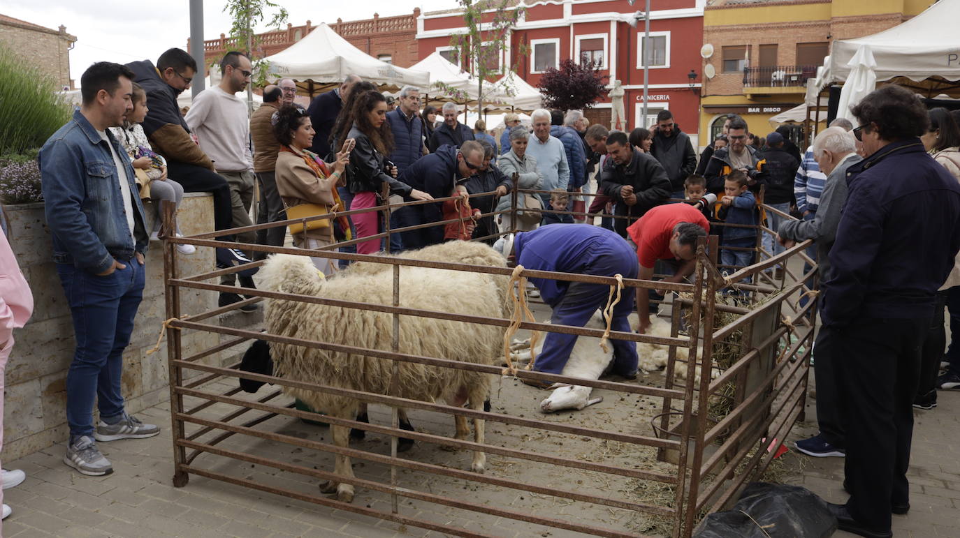 Cisneros revive las tradiciones
