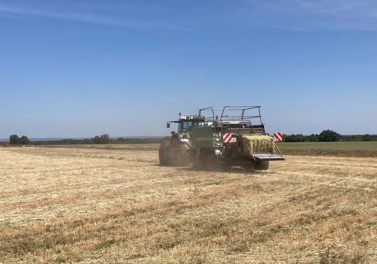 La empresa Montejo y García empacando trigo en una parcela de Tamames.