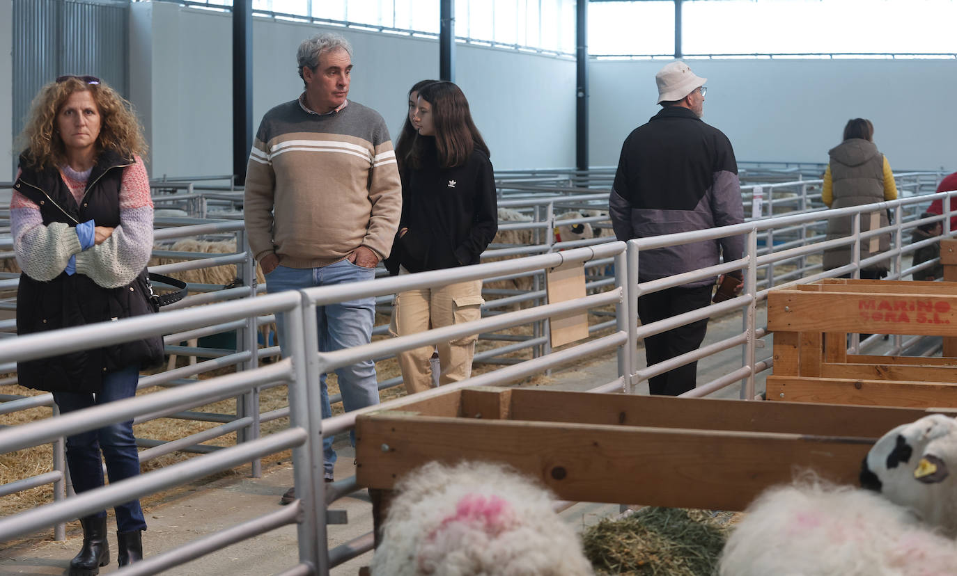 Feria Nacional de Ganado Ovino Selecto de Raza Churra en Palencia