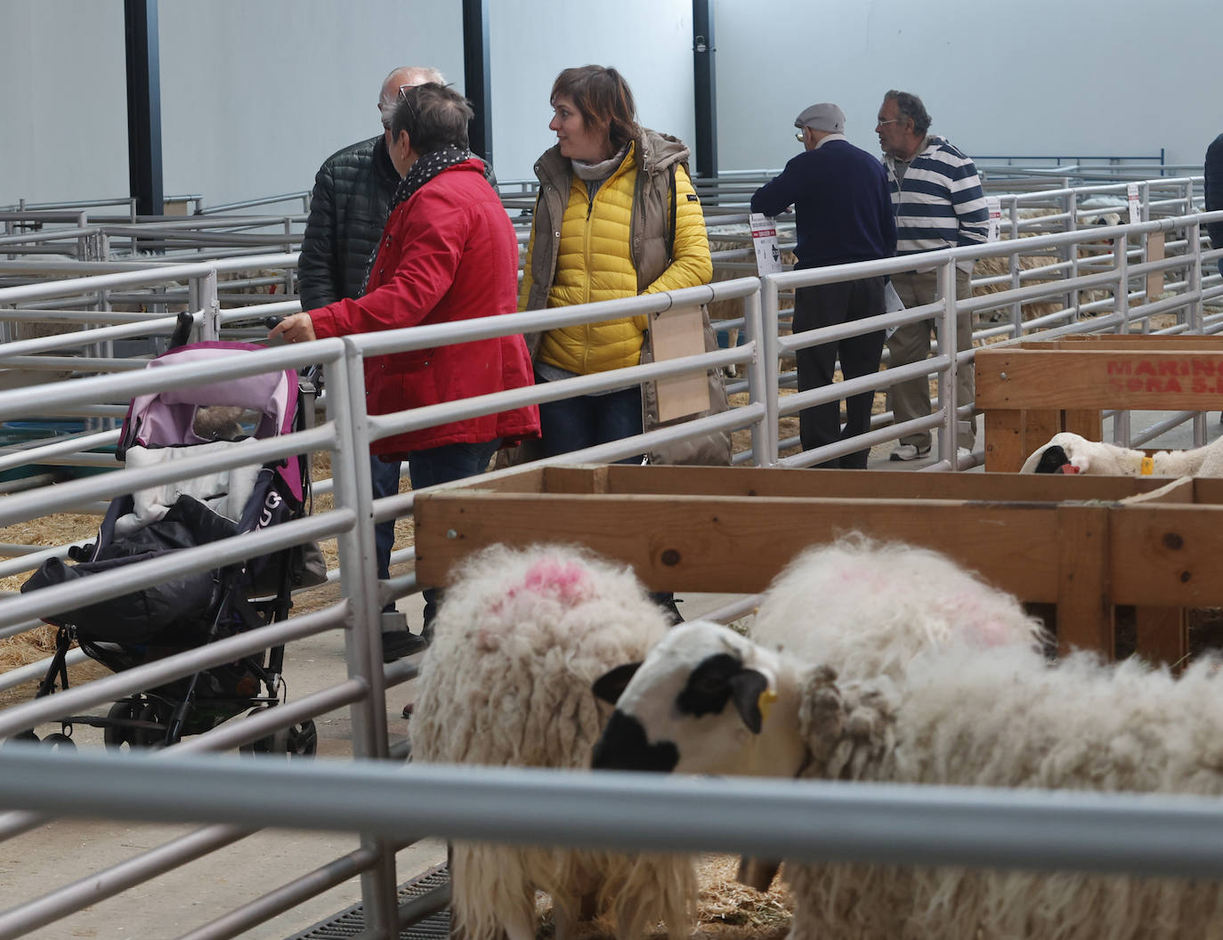 Feria Nacional de Ganado Ovino Selecto de Raza Churra en Palencia