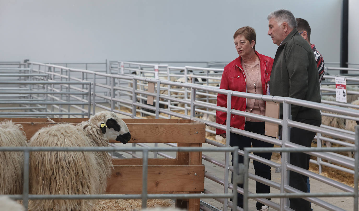 Feria Nacional de Ganado Ovino Selecto de Raza Churra en Palencia