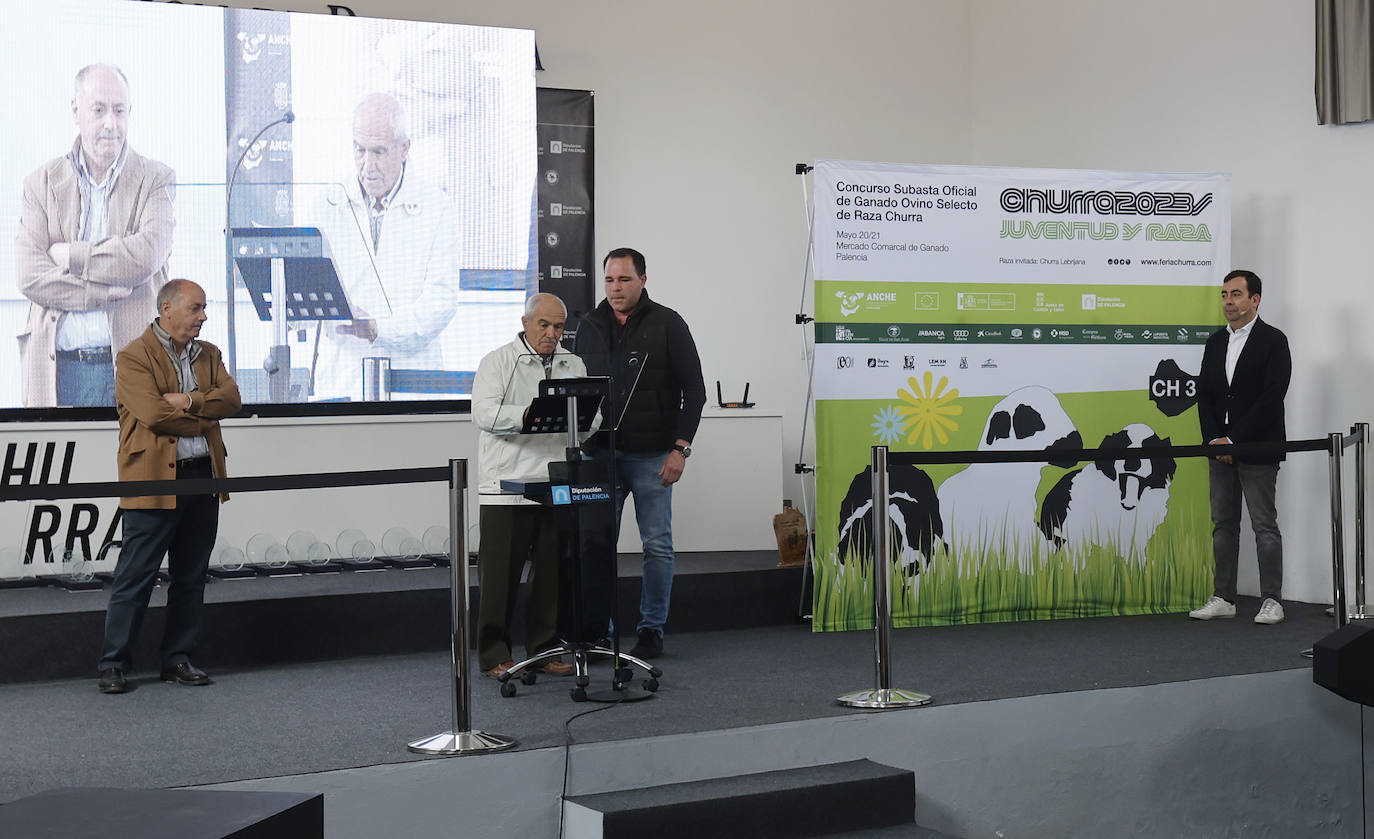 Feria Nacional de Ganado Ovino Selecto de Raza Churra en Palencia