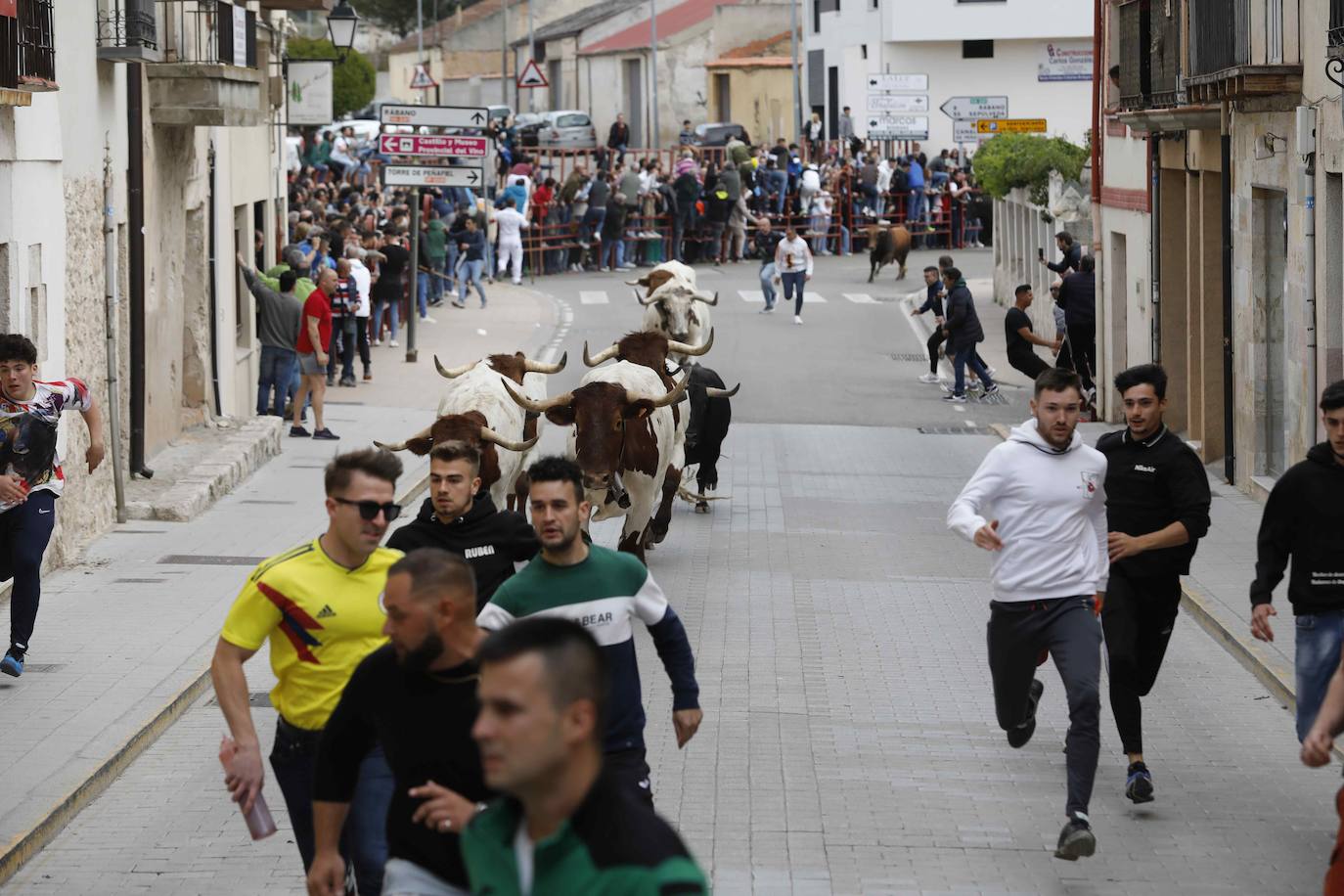 Los Toros de Mayo arrancan con un gran ambiente festivo en Peñafiel