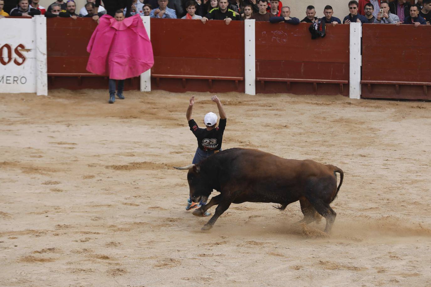 Los Toros de Mayo arrancan con un gran ambiente festivo en Peñafiel