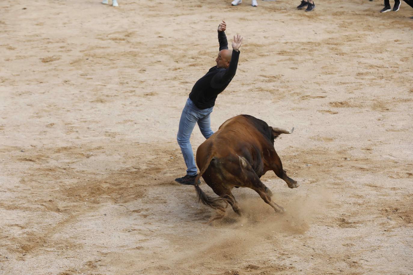 Los Toros de Mayo arrancan con un gran ambiente festivo en Peñafiel