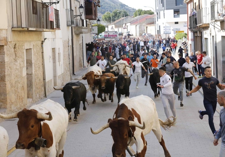 Recta final del trayecto del encierro.