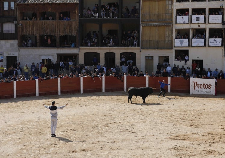 Capea en la plaza del Coso.