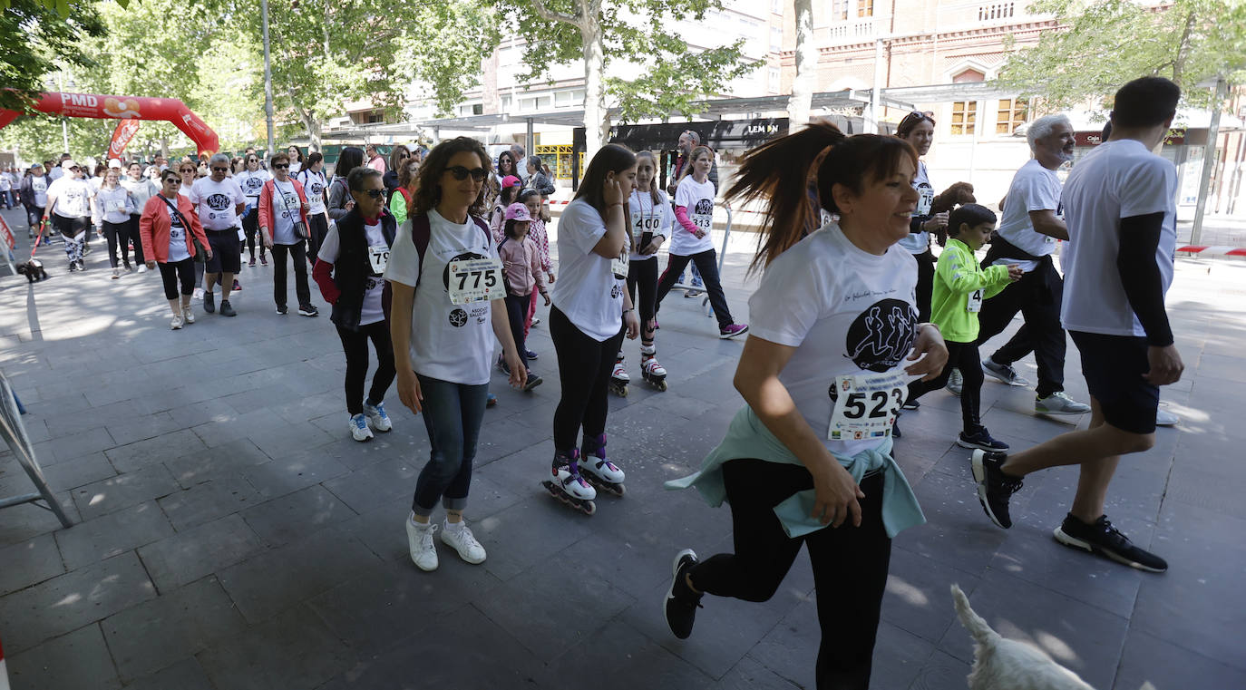 Palencia apoya el trabajo de la asociación Salud Mental