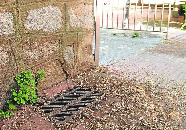 La vegetación y la suciedad impiden que el alcantarillado funcione.