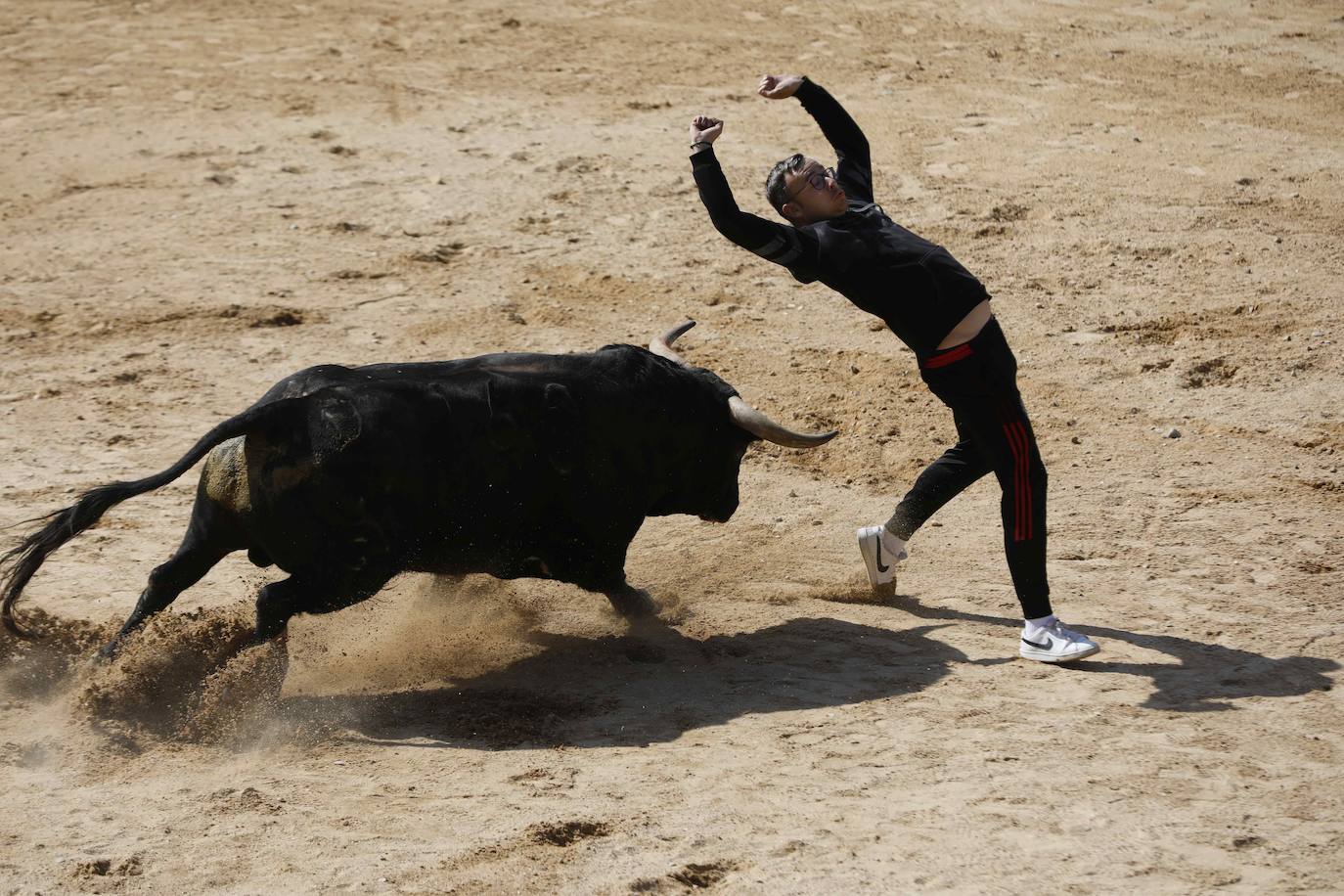 Peñafiel despide el fin de semana con un encierro limpio