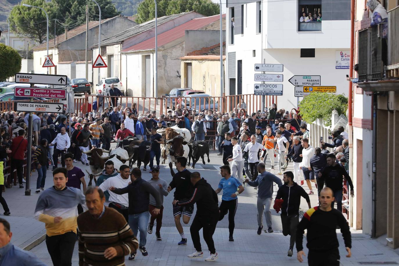 Peñafiel despide el fin de semana con un encierro limpio