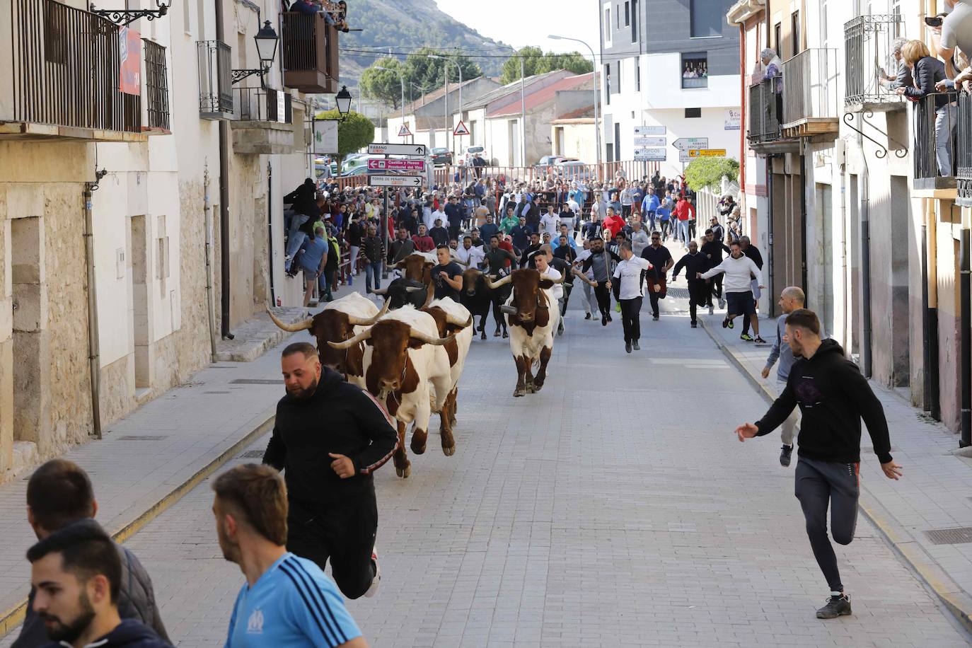 Peñafiel despide el fin de semana con un encierro limpio