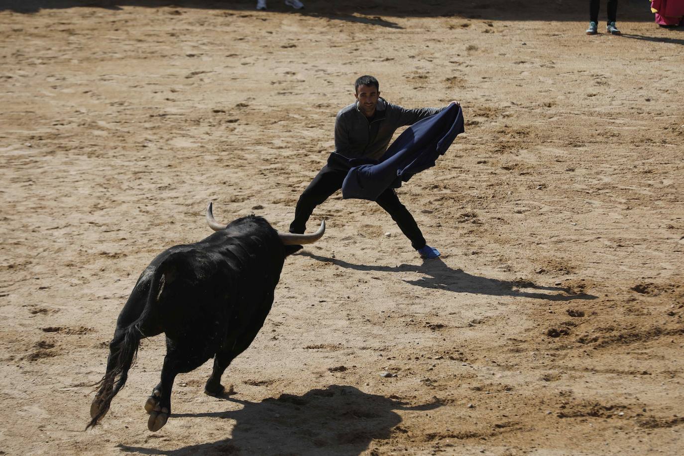 Peñafiel despide el fin de semana con un encierro limpio