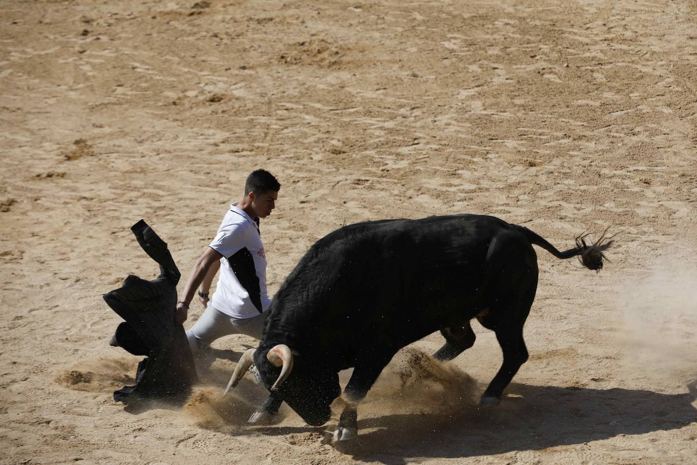 Peñafiel despide el fin de semana con un encierro limpio