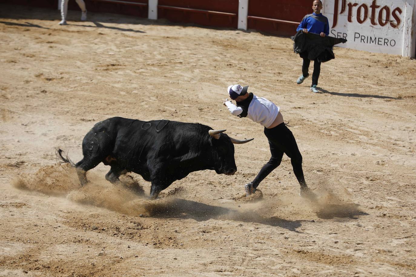 Peñafiel despide el fin de semana con un encierro limpio