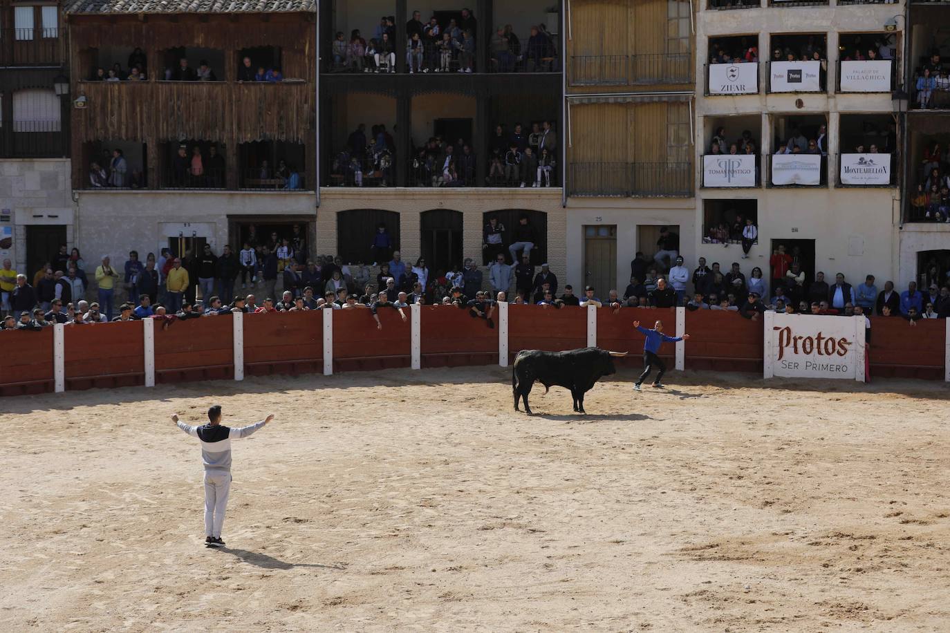 Peñafiel despide el fin de semana con un encierro limpio