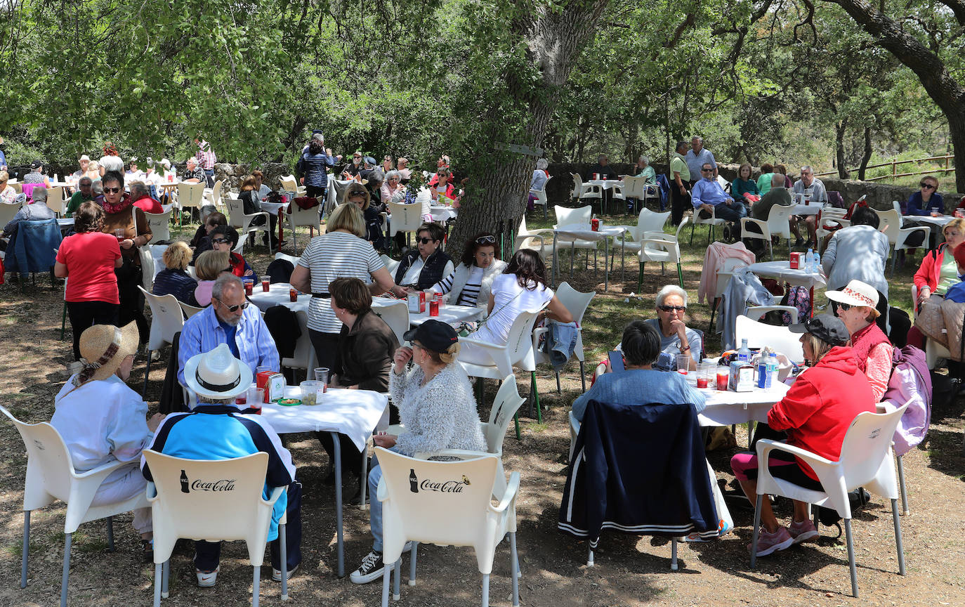 Las Aulas de Mayores de Palencia despiden el curso