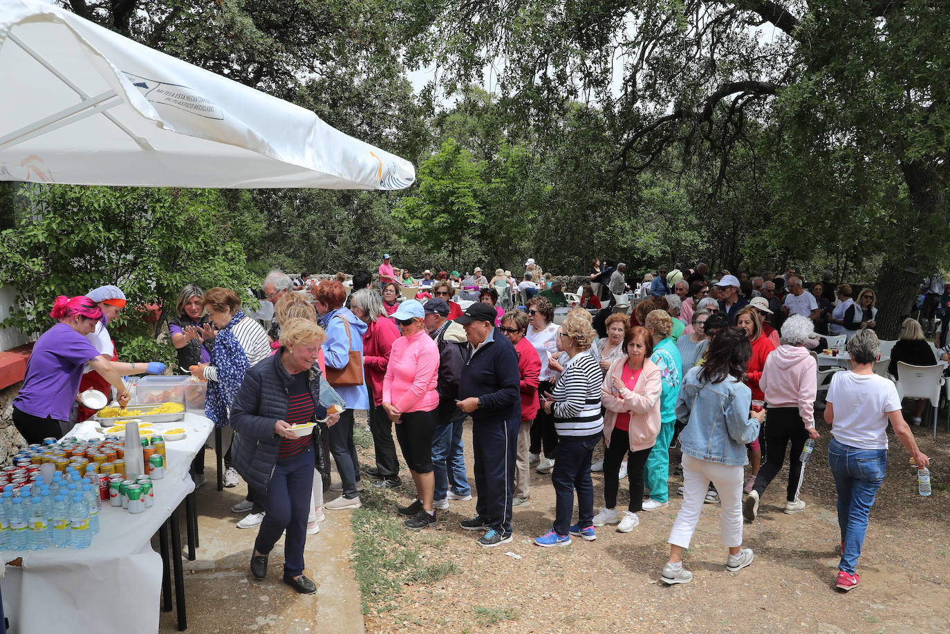 Las Aulas de Mayores de Palencia despiden el curso