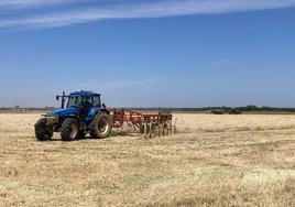 Un agricultor pasa el rastrillo hilerador en una tierra que estaba sembrada de trigo y se ha segado en verde.