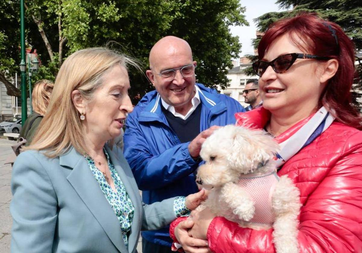 Ana Pastor pide votar a Carnero en Valladolid para echar al «amigo de Sánchez»