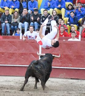 Imagen secundaria 2 - Diferentes momentos del festejo. Toropasión