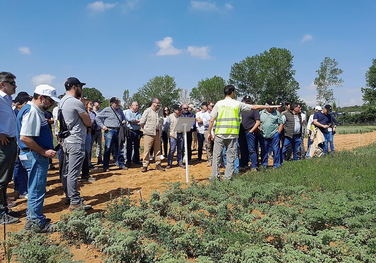 El consejero, Gerardo Dueñas, durante su participación en eta jornada.