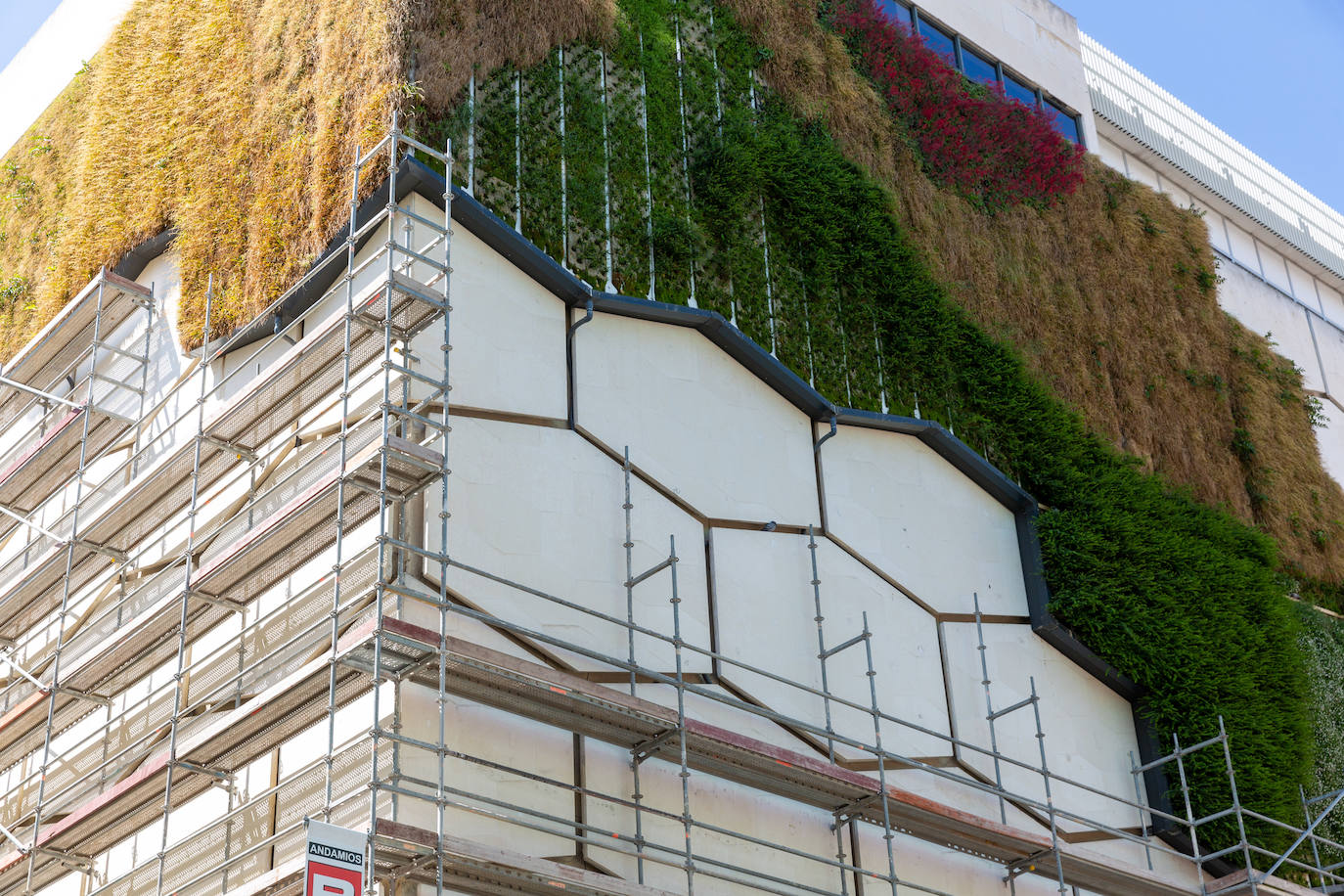 Valladolid se despide del jardín vertical del Corte Inglés