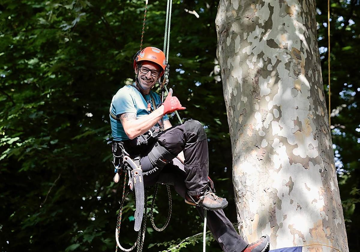 Preparación del XX Campeonato de España de Trepa de Árboles en el Campo Grande