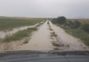 Tormenta en La Vid de Ojeda: «Lo que ha caído era para verlo»