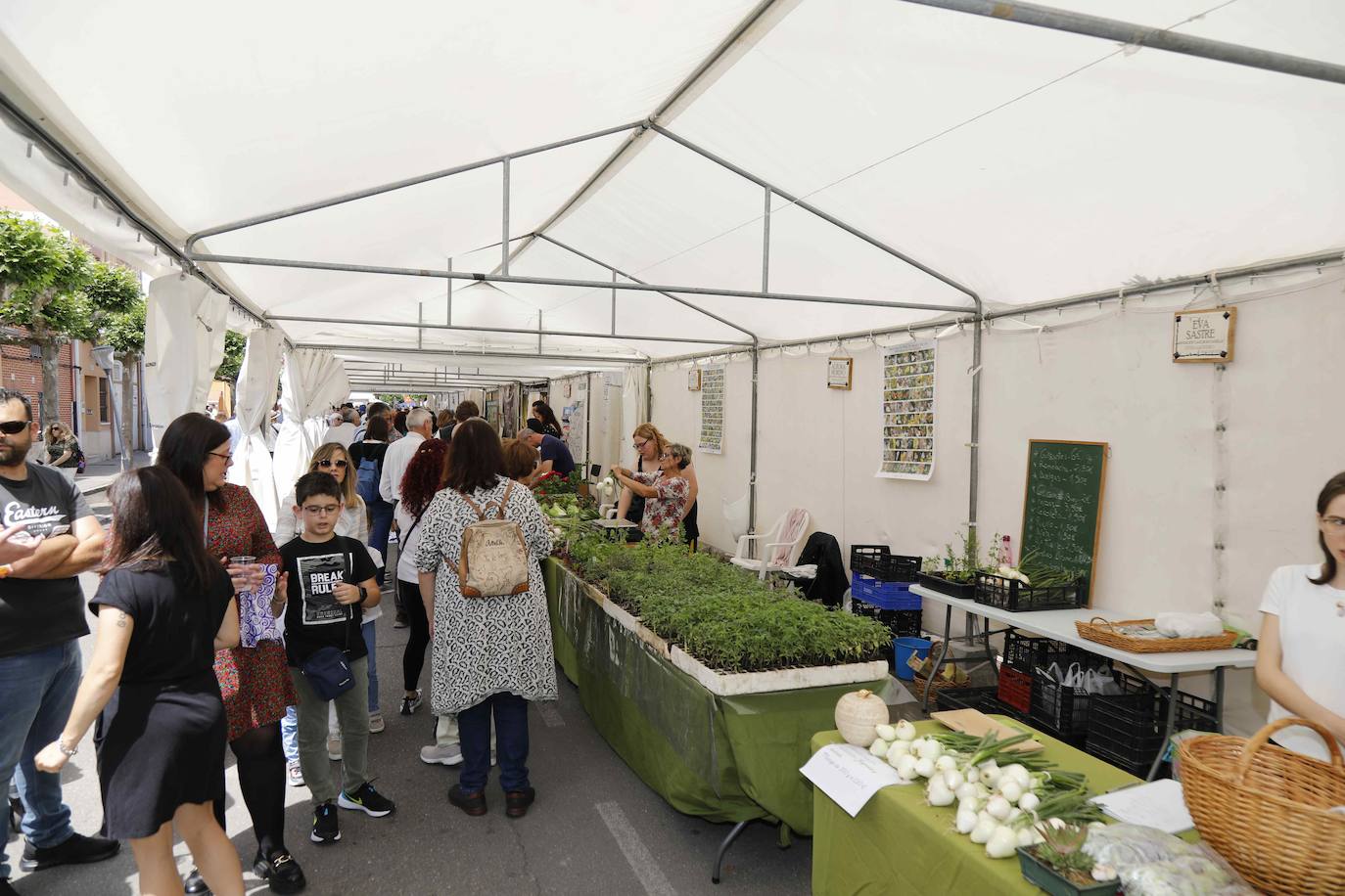 La Feria del Espárrago de Tudela de Duero, en imágenes