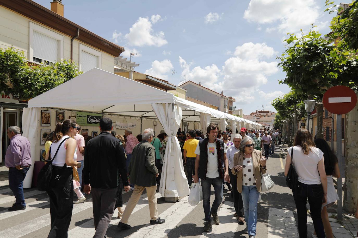 La Feria del Espárrago de Tudela de Duero, en imágenes